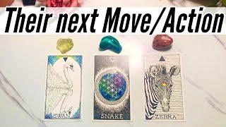 Will They Reach OutWhat Is Their next Action towards you?️‍Pick a Card Love Tarot Reading