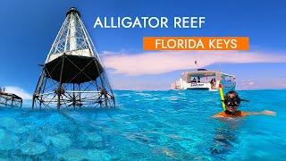 Alligator Reef, Islamorada, Florida Keys Snorkeling