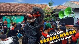 IGEULAN BARONG MERAHLINGKUNG SENI MEGA PAKUAN PENTAS DI KP RANCABOLANG GDE BAGE 31-11-21