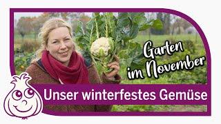 Frisches Gemüse im Winter ernten | unser Garten im November