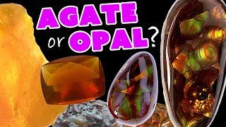 Fire Opal vs Fire Agate - What's the Difference?