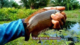 Terasa berat sekali tarikannya pemancing  adu kuat melawan tarikan ikan di spot ini