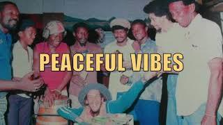 Roots Reggae Vinyl Mix - Peace & Love Vibrations - Perilous Selector / Selection Train