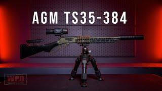 AGM TS35-384 - Thermal Optic Overview