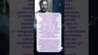 Василий Щербаков. Невероятное везение #history #хочуфакты #интересныефакты #история #война