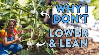 3 Problems With Growing Tomatoes Using The Lower & Lean Method & What To Do Instead