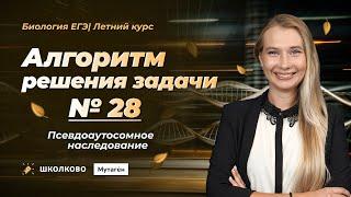 Летний курс ЕГЭ 2025 по Биологии "Мутаген"| Алгоритм решения №28|Псевдоаутосомное наследование