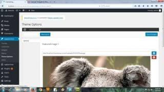 WordPress Tutorial - How to add image settings - Using Option Tree 1