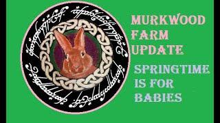 MURKWOOD FARM UPDATE 27MAR2024