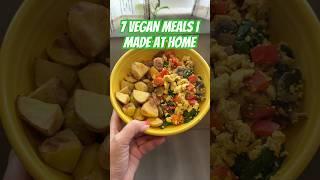 7 Vegan Meals Week 29: What I Made from the Happy Healthy Vegan Cookbook & Keep It Carbed Baby eBook