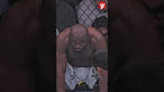 Взгляд Хамзата Чимаева!  #shorts #ufc #мма #рекомендации #viral