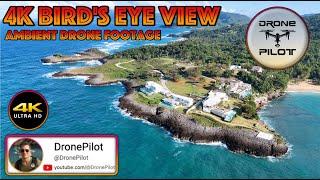 4K Bird's Eye View - Ambient Drone Footage (2024) @DronePilot