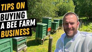 Tips On Buying A Honey Farm ( Bee Farm )