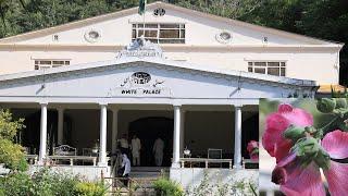 White Palace Marghazar Swat documentary