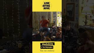 Vou me embora - Live at the Hive - Hedvanio and the Bojangles