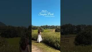 What's the BEST Part of Singha Park to Explore in Chiang Rai?
