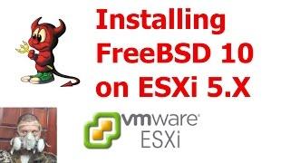 Installing FreeBSD 10 on VMware ESXi 5