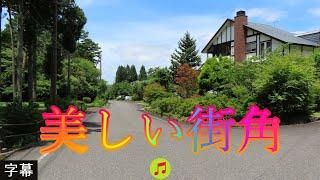 アジサイの咲く頃 7月2日 日曜 曇り時々晴れ 梅雨 蒸し暑い日 美しい街角 日本 鳥取県西伯郡伯耆町丸山 大山ガーデンプレイス @WalkingYoshi