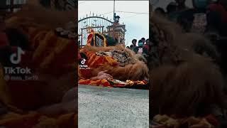 titok reog ponorogo mas be