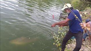 Beautiful river scape |catching big rohu fishes with single hook|awesome fishing video