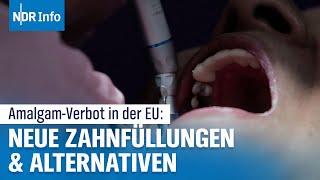 Amalgam-Verbot in der EU: Was Patienten bei neuen Zahnfüllungen wissen müssen | NDR Info