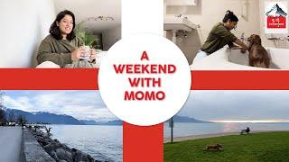 Vlog 13| A weekend with Momo | Marathi Family in Switzerland