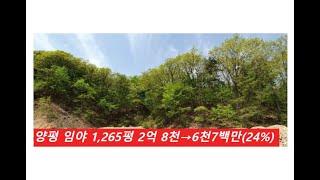 양평 임야 1,265평 2억 8천→6천7백만(24%) 53,600원(평당)