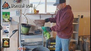 Bonsai Soil - The cheap and easy way!