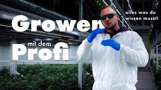 Cannabis-Anbau in Perfektion: Crop Steering auf Steinwolle mit Ben von Growmotion