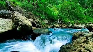 Dağ dere akışı, orman nehri akışı, akan su, derin uyku için beyaz gürültü