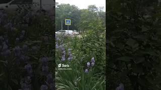 Типа пост -знакомство   #обомне #кактотак  #размышления #душа #прогулки #крым #shorts