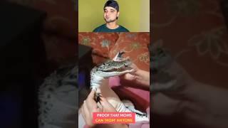 Try Not To Laugh Challenge 74  #funny #shorts #viral