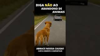 #pet #cachorro #viralatacaramelo #viralata #lovepets #cachorros