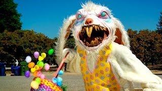 Bipolar Easter Bunny Song