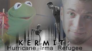 Kermit - Hurricane Irma Refugee