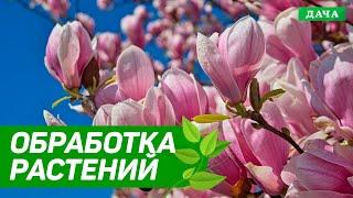 Добрый сад №7 - Обработка растений до распускания почек | Удобрения для растений