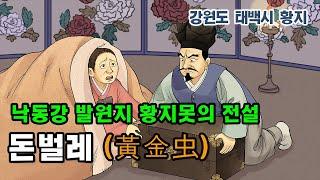 [新전설의고향] 낙동강 발원지 황지못의 유래는? l 돈벌레