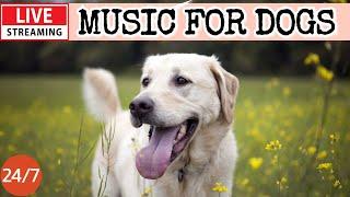 [LIVE] Dog MusicDog Calming MusicSeparation Anxiety Relief MusicRelaxing Music for Dog Sleep6