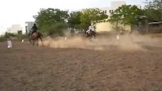 Tent Pegging Practice