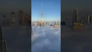TikTok || @whatsondubai