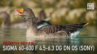 Objektiv Review: Sigma 60-600/F4.5-6.3 DG DN OS für E-Mount