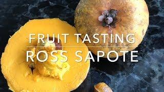 Ross Sapote grown in Sarasota, Florida - Tropical Fruit Tasting