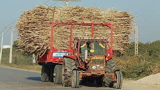 Cara India Mengubah Jagung Hingga Tebu Menjadi Bahan Bakar, Proses Pembuatan Etanol