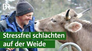 Tierschutz: Schlachten auf der Weide | Unser Land | BR Fernsehen