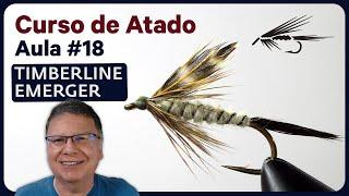 Aula #18 - Curso de Atado - Aula Prática - Timberline Emerger (vídeo conferência 11/10/2022)