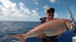 Share fishing charters with Cairns Reef Fishing