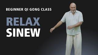 #2 | Beginners Qi Gong Class | Learn the Forest Rock Sinew Relaxing Method