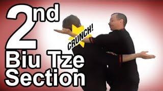 Wing Tsun 2nd Biu Tze section