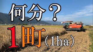 【コンバイン】一町（1ha） 何分で終わる？ 6条刈 クボタ DR6130【稲刈り】