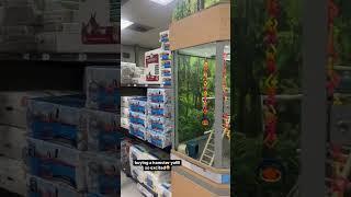 Daneliya is getting a hamster Part1 #daneliya #daneliyatuleshova #tuleshovadaneliya